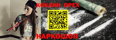 гашик Дубна