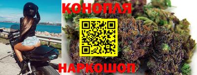 гашик Дубна