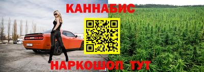 гашик Дубна